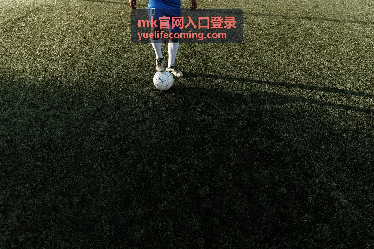 mk官网入口登录 页面在桌面端与移动端的访问示意